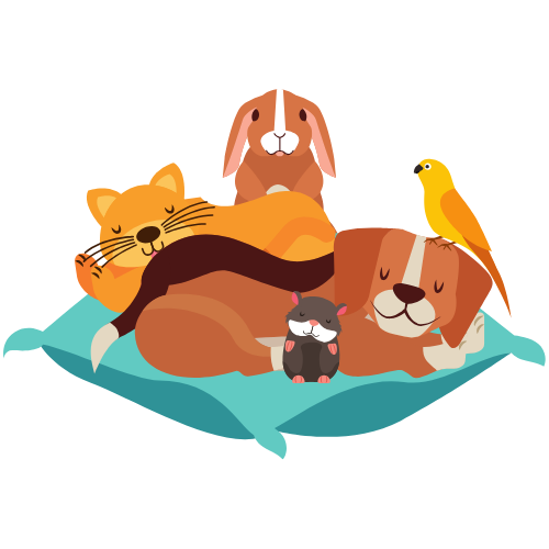 Accesorios y Juguetes Mascota